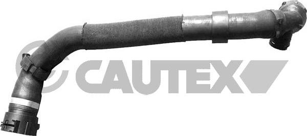 Cautex 765607 - Шланг радиатора autosila-amz.com