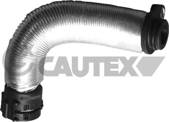 Cautex 765637 - Шланг радиатора autosila-amz.com