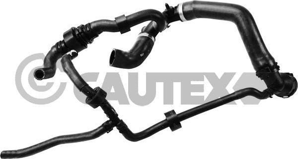 Cautex 765180 - Шланг радиатора autosila-amz.com