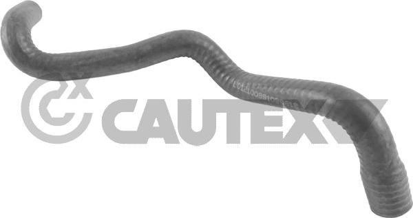 Cautex 766563 - Шланг радиатора autosila-amz.com