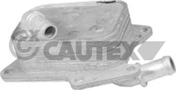 Cautex 768806 - Масляный радиатор, двигательное масло autosila-amz.com