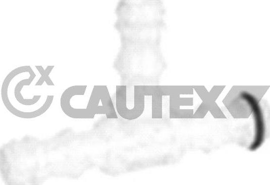 Cautex 767161 - Адаптер, водяной насос омывателя autosila-amz.com