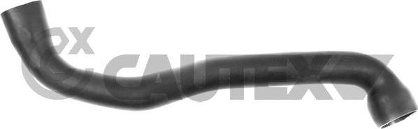 Cautex 767135 - Трубка, нагнетание воздуха autosila-amz.com