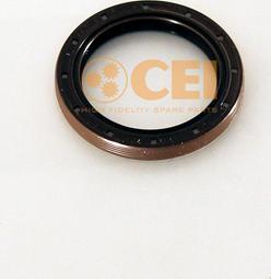 C.E.I. 139.960 - Уплотняющее кольцо, ступенчатая коробка передач autosila-amz.com