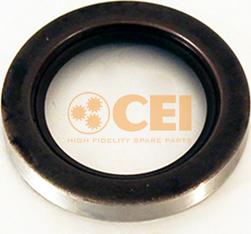C.E.I. 139909 - Уплотняющее кольцо, ступенчатая коробка передач autosila-amz.com