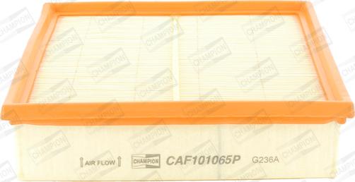 Champion CAF101065P - Air filter autosila-amz.com