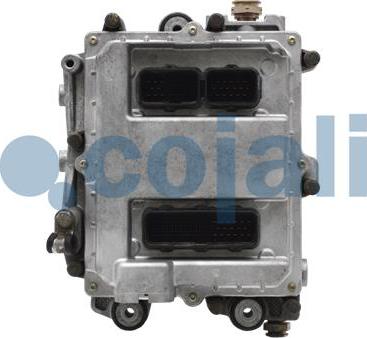 Cojali 350221 - Блок управления, система впрыска autosila-amz.com