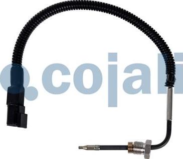 Cojali 2262065 - Датчик, температура выхлопных газов autosila-amz.com