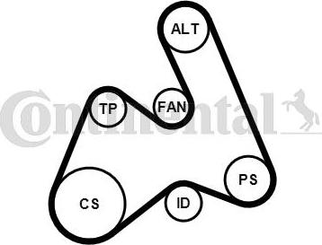 Contitech 5PK1592K1 - Поликлиновый ременный комплект autosila-amz.com