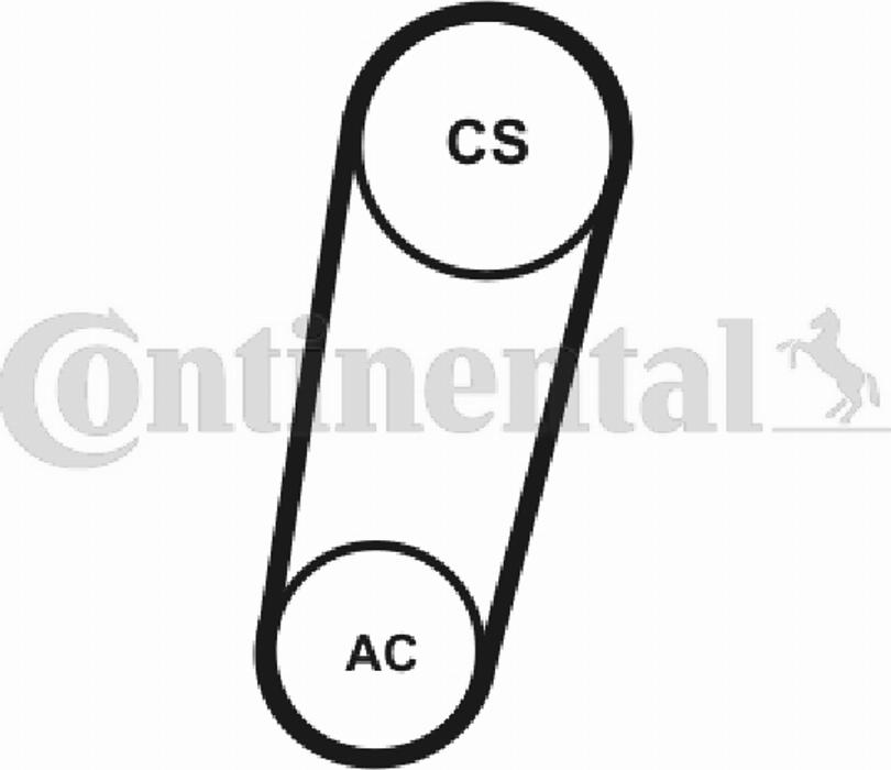 Contitech 5PK705T1 - Поликлиновой ремень autosila-amz.com