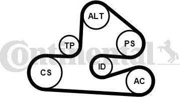 Contitech 6PK1590K1 - Поликлиновый ременный комплект autosila-amz.com