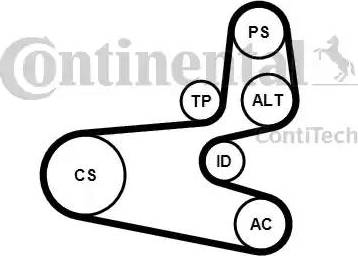 Continental 6PK1560K1 - Поликлиновый ременный комплект autosila-amz.com