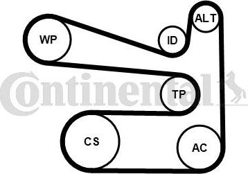 Continental 6PK1693K1 - Поликлиновый ременный комплект autosila-amz.com