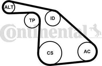 Continental 6PK1038K1 - Поликлиновый ременный комплект autosila-amz.com