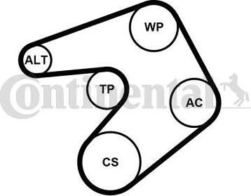 Continental 6PK1244K1 - Поликлиновый ременный комплект autosila-amz.com