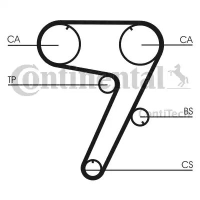 Continental CT931 - Зубчатый ремень ГРМ autosila-amz.com