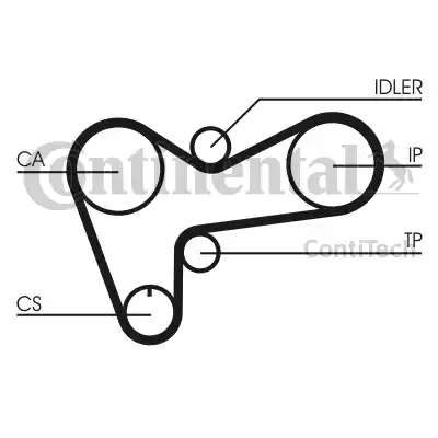 Continental CT508 - Зубчатый ремень ГРМ autosila-amz.com