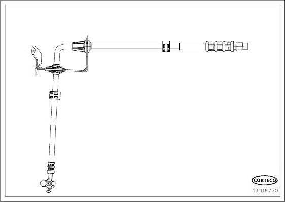 Corteco 49106750 - Тормозной шланг autosila-amz.com