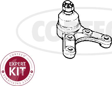 Corteco 49395647 - Шаровая опора, несущий / направляющий шарнир autosila-amz.com