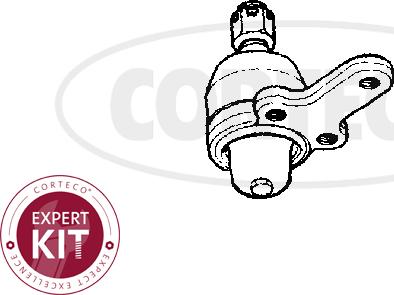 Corteco 49395843 - Шаровая опора, несущий / направляющий шарнир autosila-amz.com