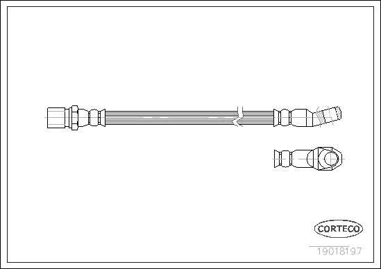 Corteco 19018197 - Тормозной шланг autosila-amz.com