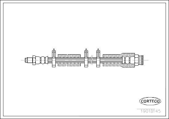 Corteco 19018145 - Тормозной шланг autosila-amz.com