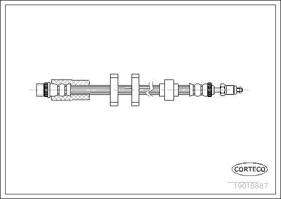 Corteco 19018887 - Тормозной шланг autosila-amz.com