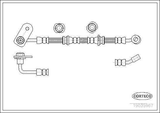 Corteco 19035967 - Тормозной шланг autosila-amz.com