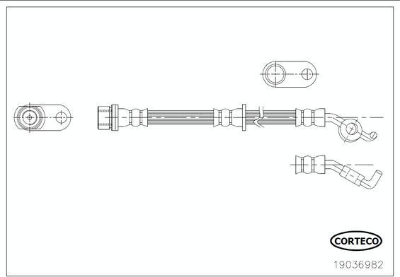 Corteco 19036982 - Тормозной шланг autosila-amz.com