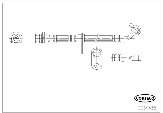 Corteco 19036438 - Тормозной шланг autosila-amz.com