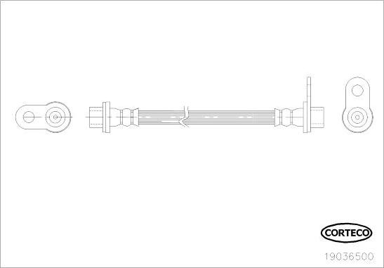 Corteco 19036500 - Тормозной шланг autosila-amz.com