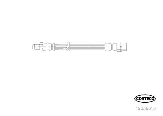 Corteco 19036613 - Шланг торм. autosila-amz.com