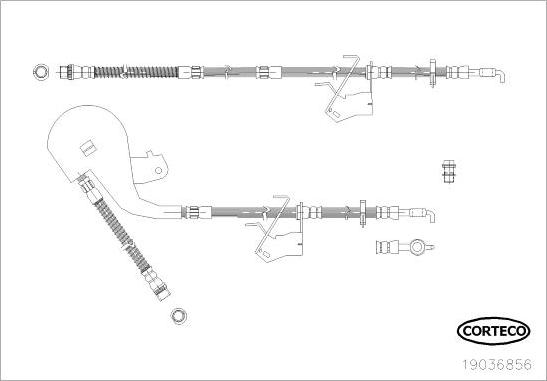 Corteco 19036856 - Тормозной шланг autosila-amz.com