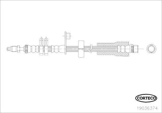 Corteco 19036374 - Тормозной шланг autosila-amz.com