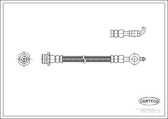 Corteco 19031872 - Тормозной шланг autosila-amz.com