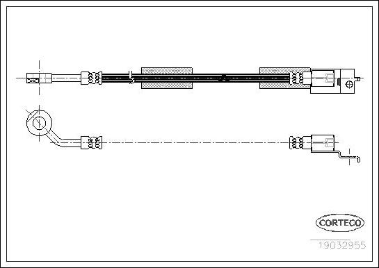 Corteco 19032955 - Тормозной шланг autosila-amz.com