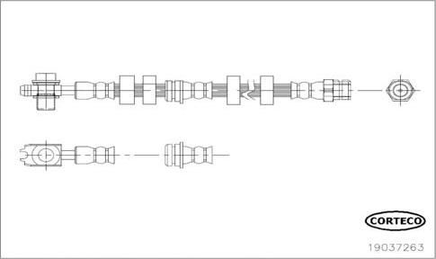 Corteco 19037263 - Тормозной шланг autosila-amz.com