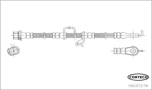 Corteco 19037278 - Тормозной шланг autosila-amz.com