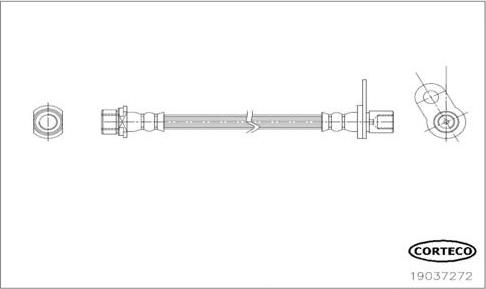 Corteco 19037272 - Тормозной шланг autosila-amz.com