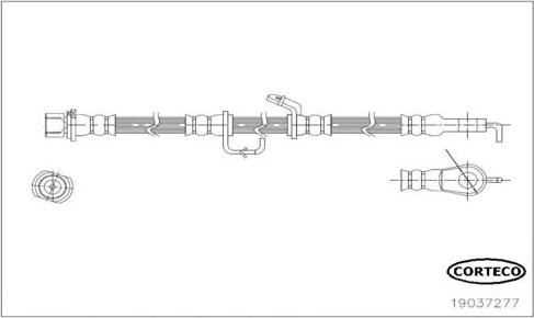 Corteco 19037277 - Тормозной шланг autosila-amz.com