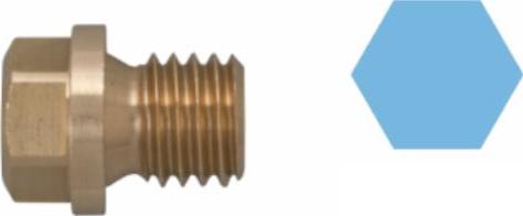 Corteco 220114S - Резьбовая пробка, масляный поддон autosila-amz.com