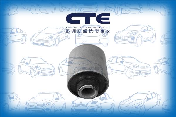 CTE CBH31006 - Сайлентблок, рычаг подвески колеса autosila-amz.com