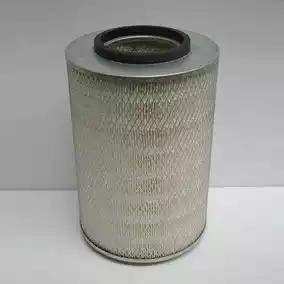 Mann-Filter C22471 - Воздушный фильтр, двигатель autosila-amz.com