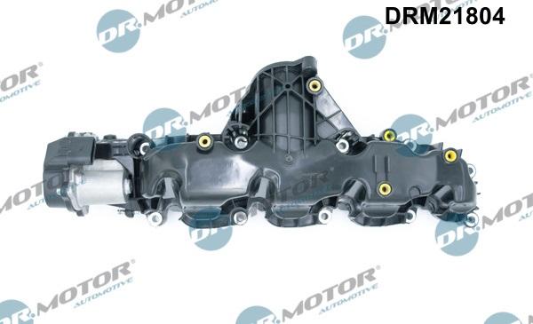 Dr.Motor DRM21804 - Модуль впускной трубы autosila-amz.com