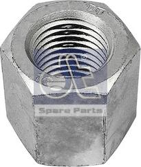 DT Spare Parts 1.25431 - Гайка листовой рессоры autosila-amz.com
