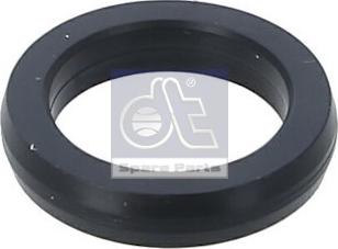 DT Spare Parts 2.15060 - Уплотнительное кольцо, трубка охлаждающей жидкости autosila-amz.com