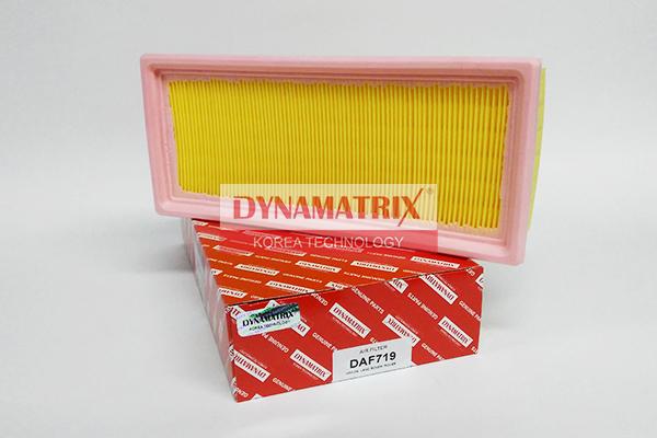 Dynamatrix DAF719 - Воздушный фильтр, двигатель autosila-amz.com