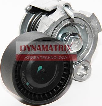 Dynamatrix DT60003 - Ролик, поликлиновый ремень autosila-amz.com