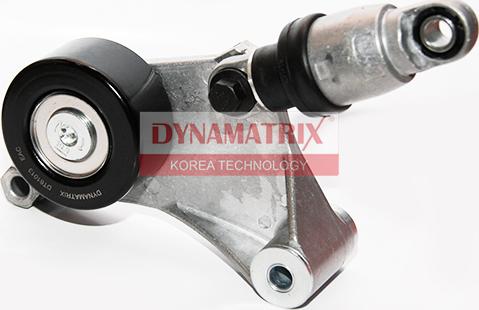 Dynamatrix DT61013 - Ролик, поликлиновый ремень autosila-amz.com