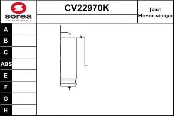 EAI CV22970K - Шарнирный комплект, ШРУС, приводной вал autosila-amz.com